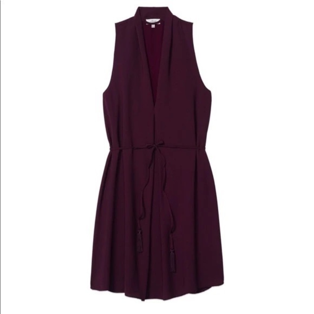 Aritzia Monge Dress